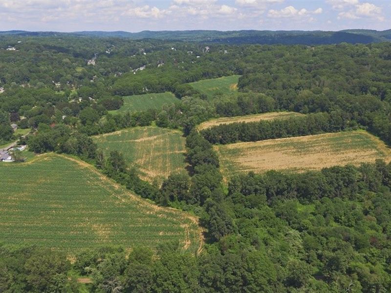 58.95+/- Acres Farmland : Hampton : Hunterdon County : New Jersey