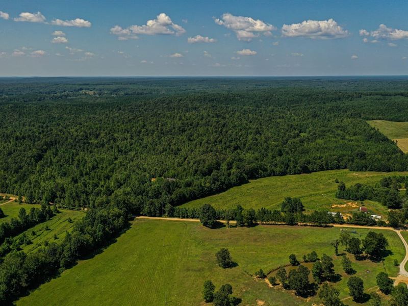 Whiteoak's, Whitetails, and Gobbler : Falkner : Benton County : Mississippi
