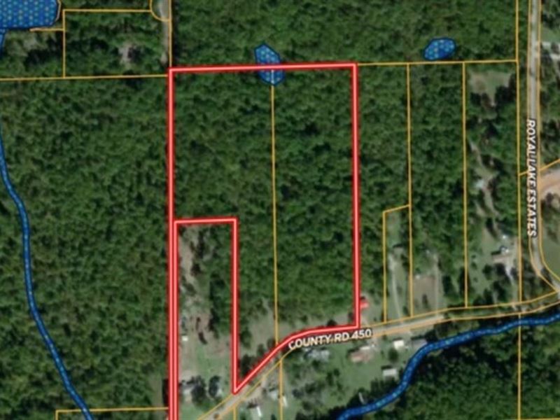 13 Surveyed Acres for Sale in Bu : Poplar Bluff : Butler County : Missouri