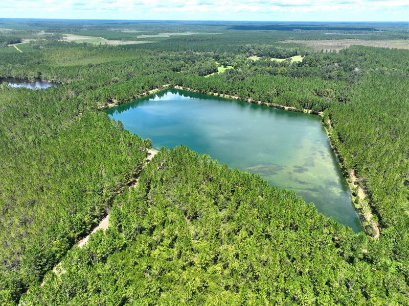 84.5 Acres with 15+ Acre Lake fo : Jesup : Wayne County : Georgia