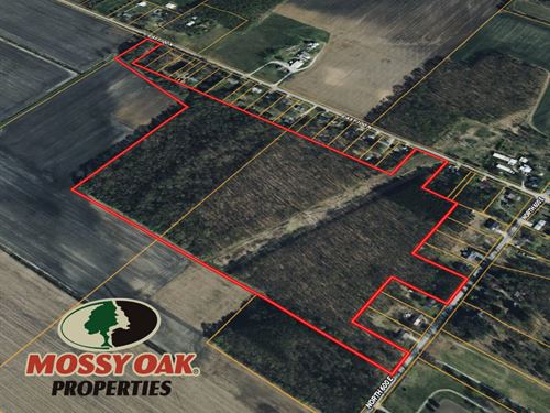49 Acres / 100 N Knox, In 4653 : Knox : Starke County : Indiana