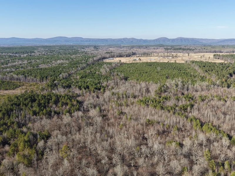 44 Acres in Howard County, AR : Newhope : Howard County : Arkansas