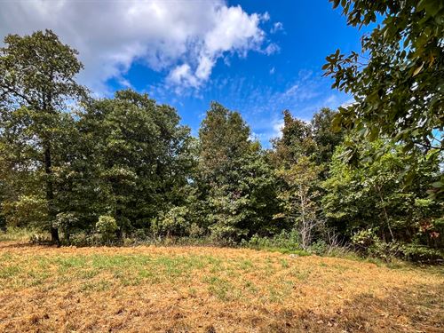 Beautiful, Secluded Build Site : Brandsville : Howell County : Missouri