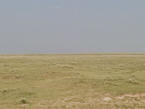 35 Acres Near Arkansas River Valley : Lamer : Bent County : Colorado