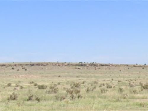 38.64 Acres in Bent County, Co : Lamer : Bent County : Colorado