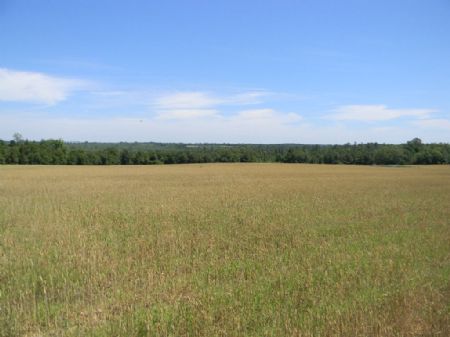 190 Hunting Paradise : Brantley : Coffee County : Alabama