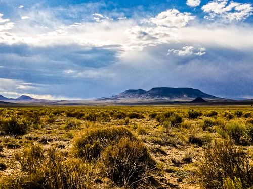 Walk to The River, Camp or Build : Sanford : Costilla County : Colorado