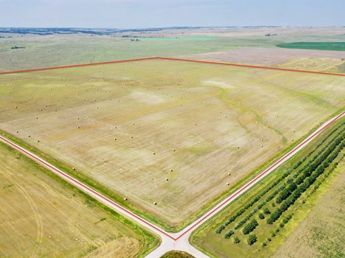 Sheridan Dryland Quarter : Gordon : Sheridan County : Nebraska