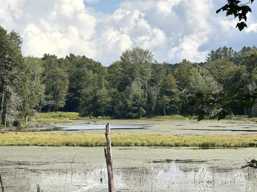 Black River Area, Southern Adk : Ohio : Herkimer County : New York