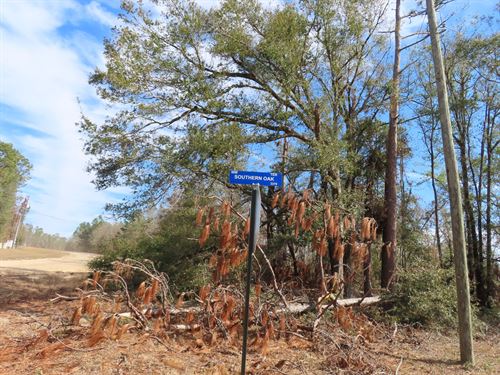 Unbelievable 8.2 Acre Florida Land : Jennings : Hamilton County : Florida