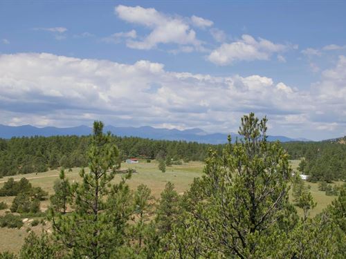 Lark Bunting Lane/Cedar Rd, We : Weston : Las Animas County : Colorado