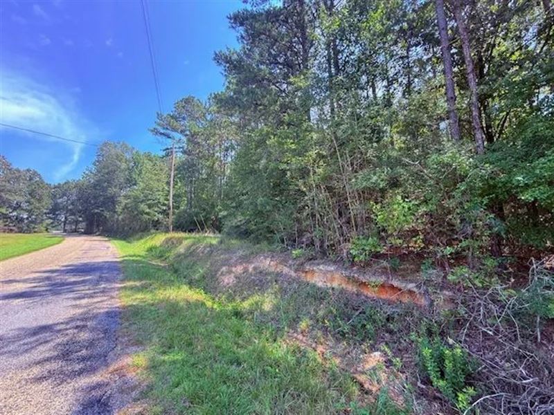 16 Acres / Brandon Bay Church Road : Tylertown : Walthall County : Mississippi