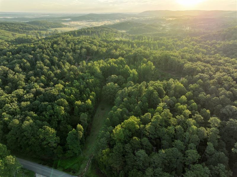 111 Well Managed Acres in Clebur : Heflin : Cleburne County : Alabama