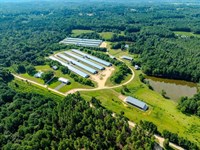 45 Acre Turnkey Poultry Farm For Sa : Linden : Harnett County : North Carolina