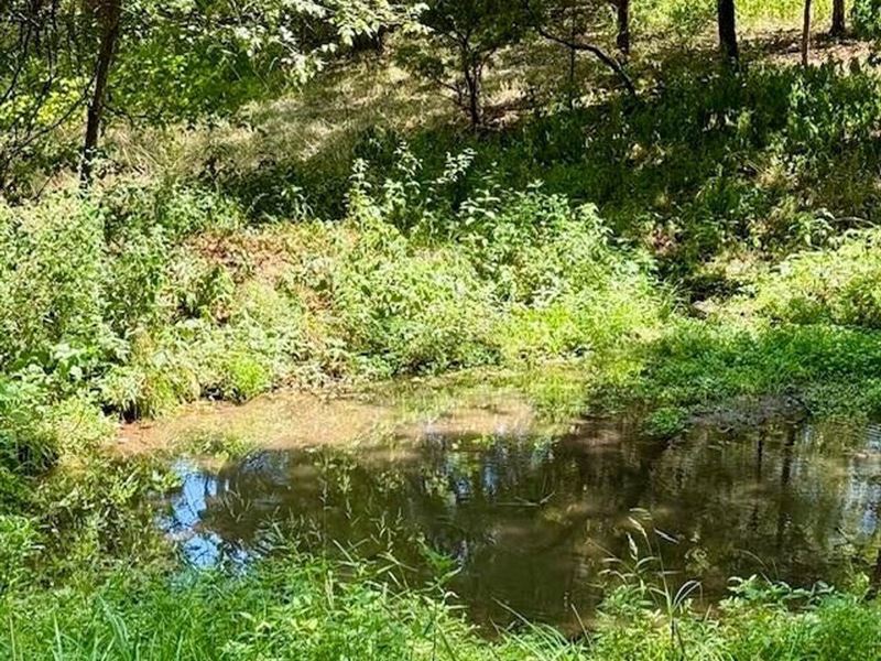 164 Acres, 2 Spring Fed Ponds, Priv : Mountain Grove : Wright County : Missouri