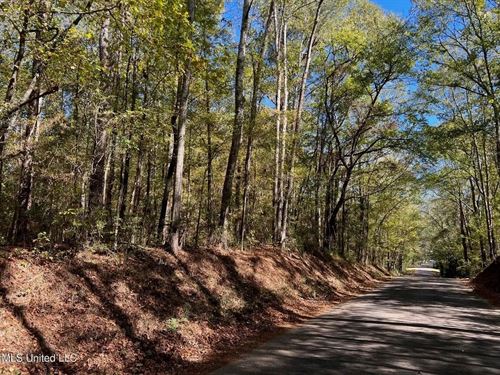 51.52 Acres Land For Sale Near Mcc : McComb : Pike County : Mississippi
