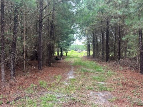 Hwy 67 Homesite : Pembroke : Bulloch County : Georgia