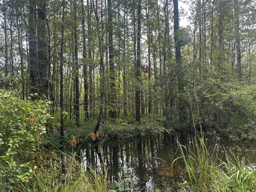 Duck Hole Tract : Sylvania : Screven County : Georgia