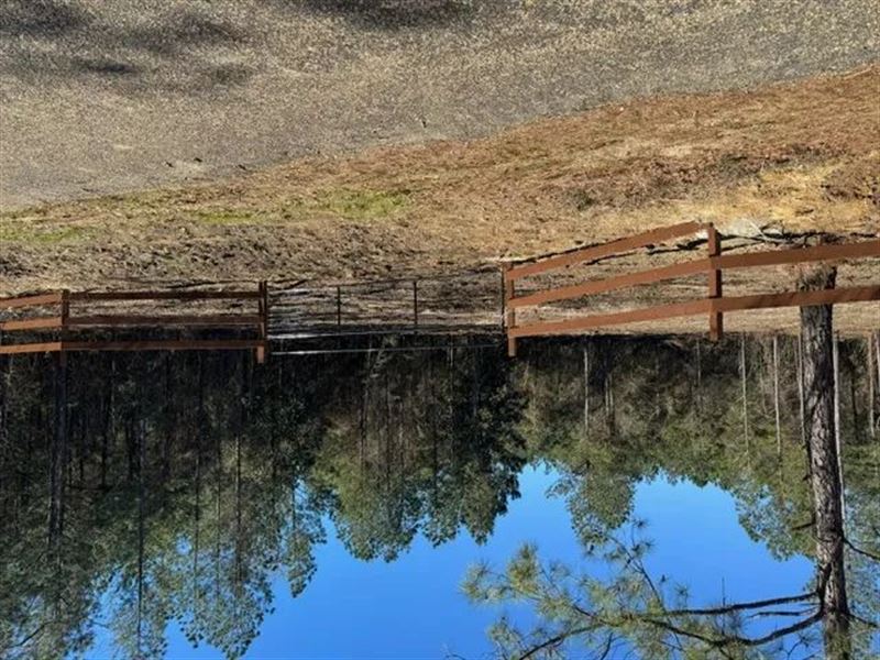24 Acres Walthall Co : Jayess : Walthall County : Mississippi