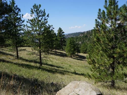 Ridge Crest Retreat : Cascade : Montana