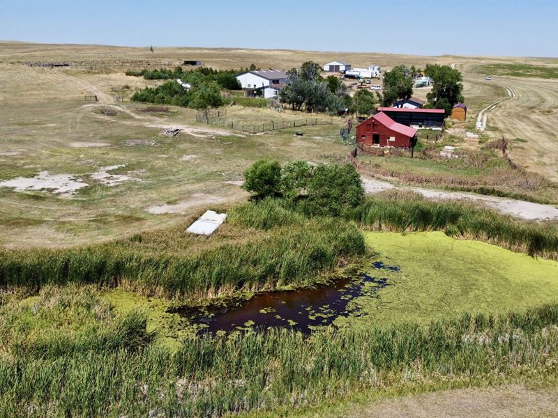 Ramah Springs Ranch : Ramah : Elbert County : Colorado