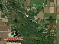 27 Hunting Property Hillsdale Co : Osseo : Hillsdale County : Michigan