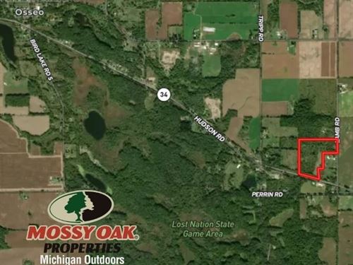 27 Hunting Property Hillsdale Co : Osseo : Hillsdale County : Michigan