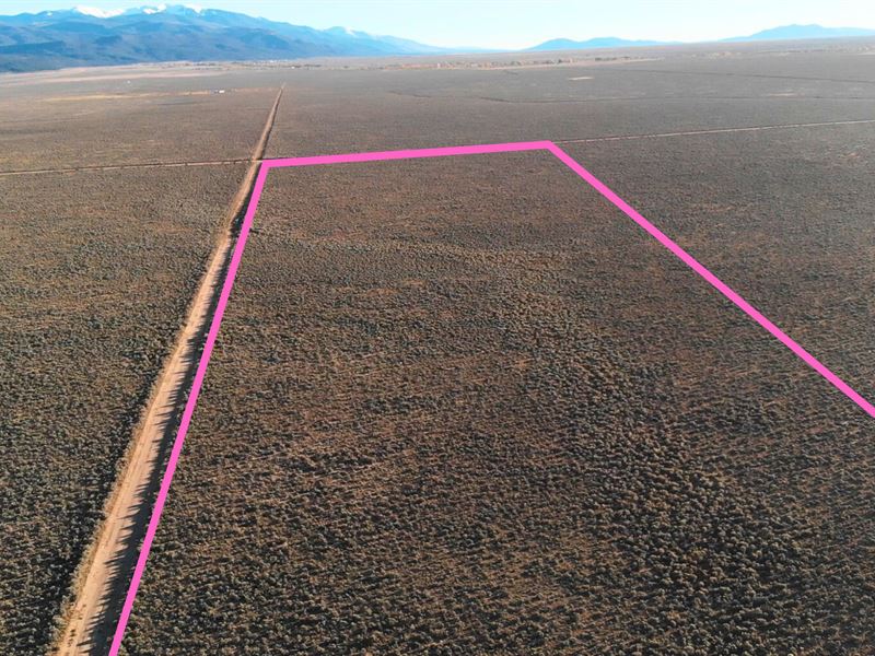 Cash Only Deal, 40 Acre for Sale : San Luis : Costilla County : Colorado