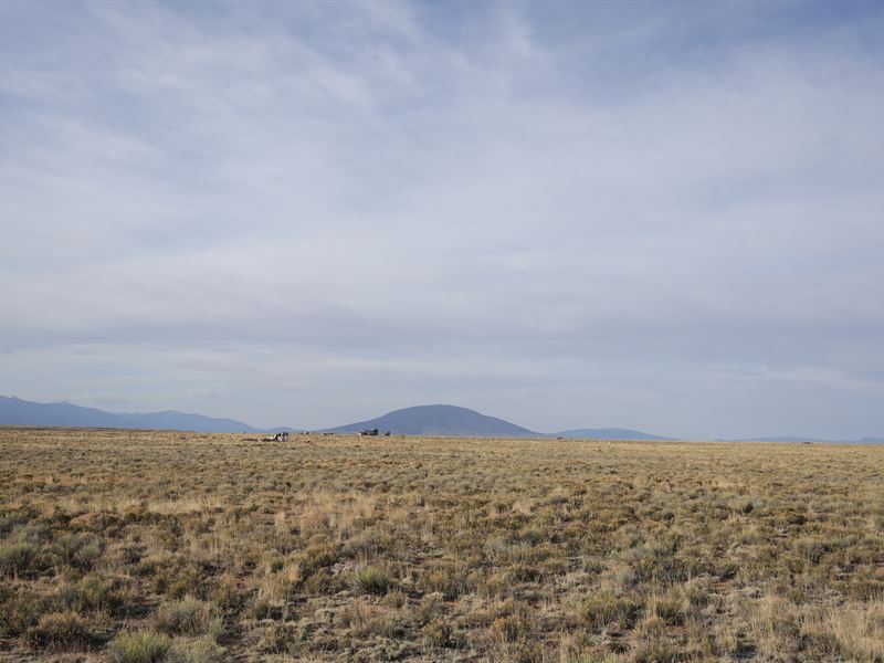 Trade City Lights for Starry Nights : Mesita : Costilla County : Colorado