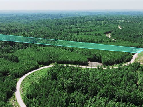 7.7 Acres w Power & Fiber Internet : Dover : Stewart County : Tennessee