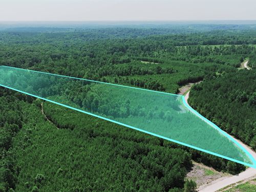 10.4 Acres w Power & Fiber Internet : Dover : Stewart County : Tennessee