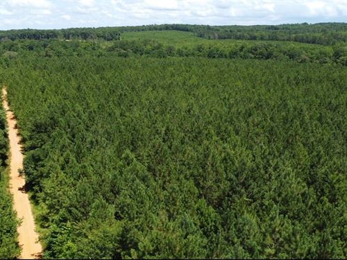 58 Acres Tallapoosa Co : Daviston : Tallapoosa County : Alabama