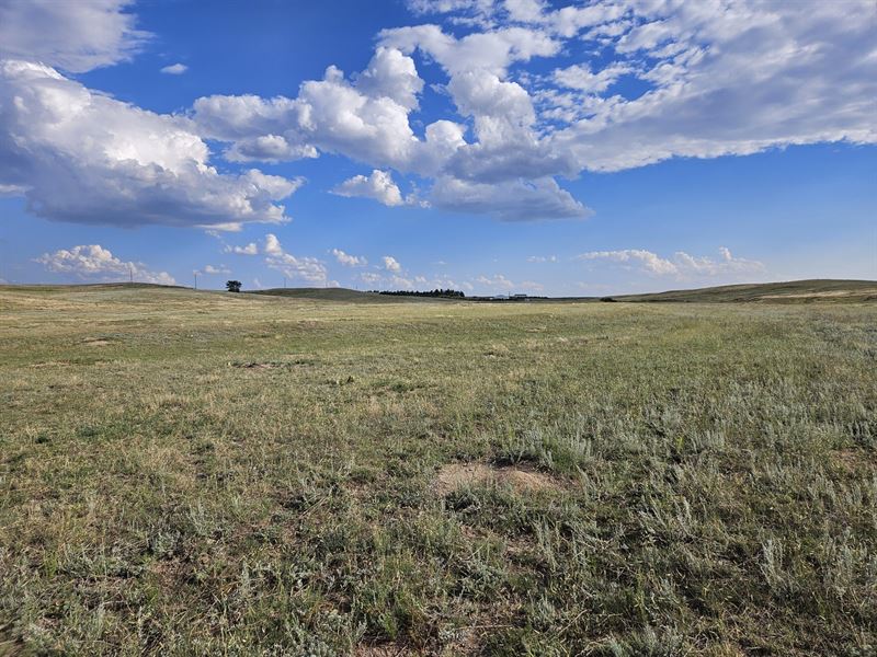 Cow Creek Valley : Lodgepole : Cheyenne County : Nebraska