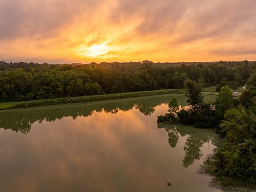 1,047 Acres in Sumter County, AL : Livingston : Sumter County : Alabama