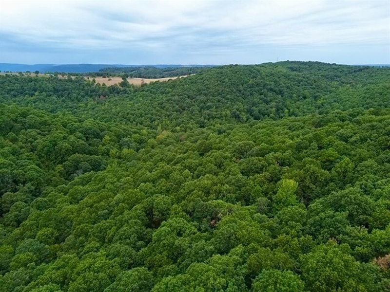 Whisper Ridge : Jasper : Boone County : Arkansas