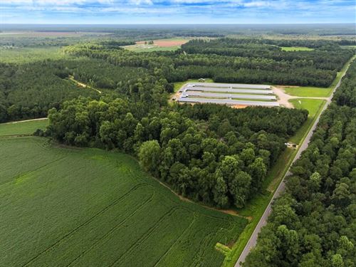 118 Acres of Recreational & Timberl : Rose Hill : Duplin County : North Carolina