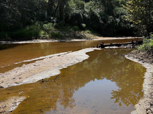 194 Acres In Newton County, MS : Hickory : Newton County : Mississippi