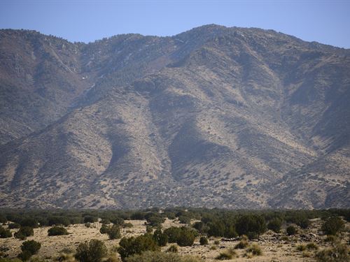In The Shadow of Manzano Peak : Belen : Valencia County : New Mexico