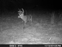 150 Acre Bangor Blueberry Farm : Bangor : Van Buren County : Michigan