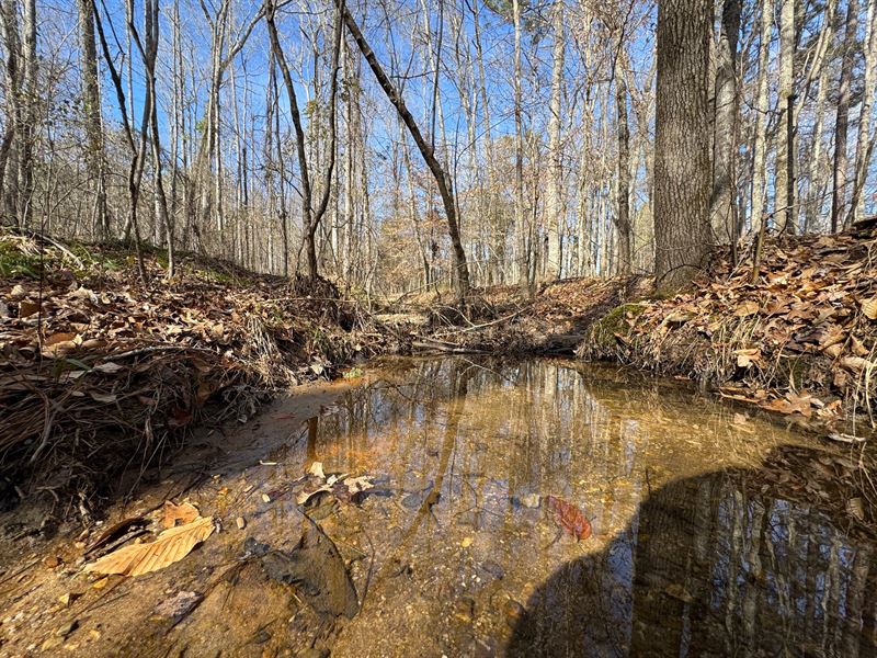 44.95 Acres in Coosa County : Equality : Coosa County : Alabama