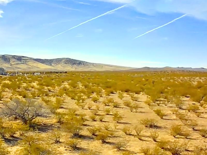 5 Acres by Blm in Golden Valley, AZ : Golden Valley : Mohave County : Arizona