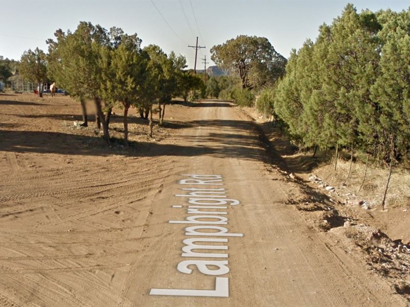 7 Acres in Hanover, NM : Hanover : Grant County : New Mexico