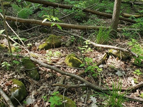 290 Acres in Grundy County, TN : Tracy City : Grundy County : Tennessee