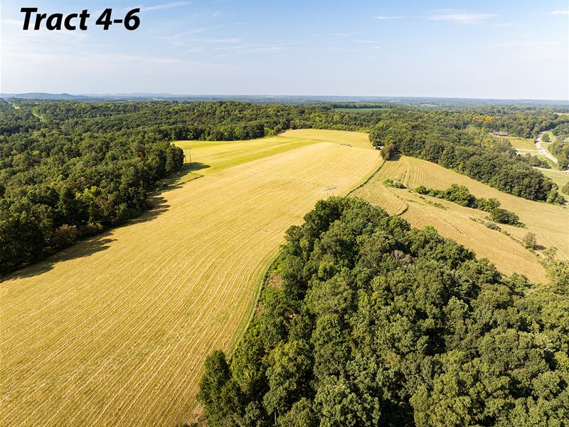 Land Auction, Pike County Ohio : Piketon : Pike County : Ohio