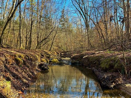 Double Branch Tract : Elberton : Elbert County : Georgia