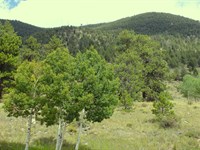 Wilkerson Pass Inholding : Lake George : Park County : Colorado