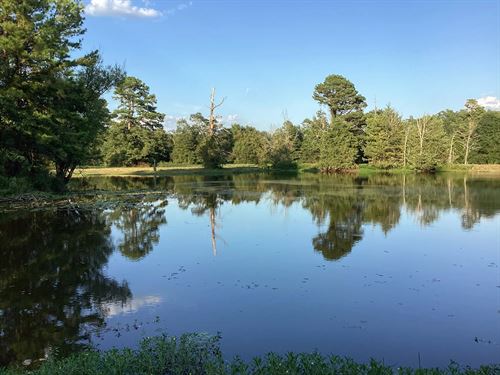 61.33 Acres In Polk County, AR $368 : Mena : Polk County : Arkansas