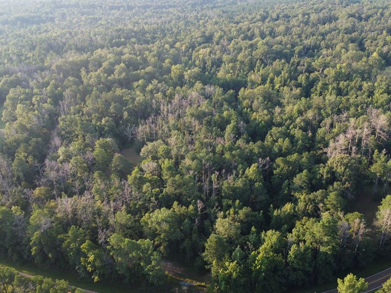 7.31 Acres in Copiah County, MS : Crystal Springs : Copiah County : Mississippi