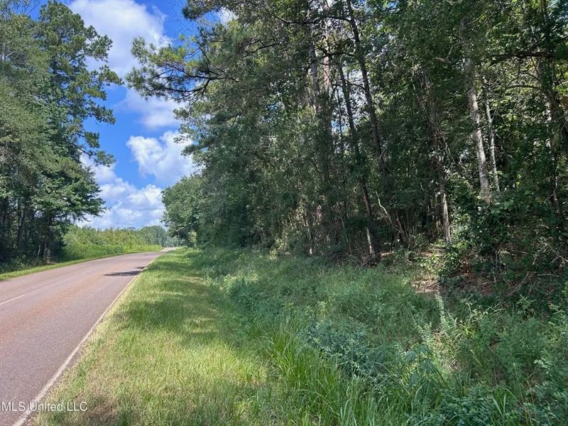 14 Acres in North Pike School Dis : Summit : Pike County : Mississippi