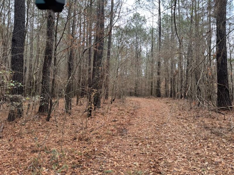 Creekside Escape : Bogue Chitto : Lincoln County : Mississippi